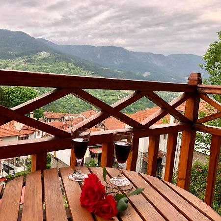 Apostolos Hotel Metsovo Exterior foto